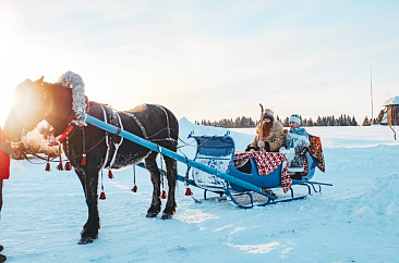 Афиша на новогодние каникулы