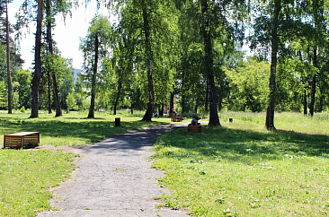 Березовая роща