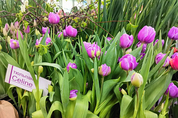 Афиша на март